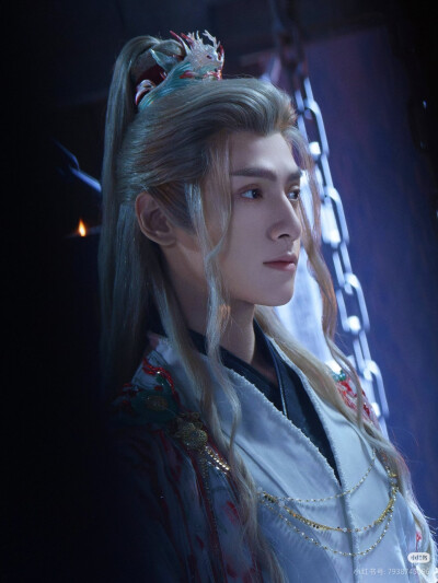 《水龙吟》罗云熙