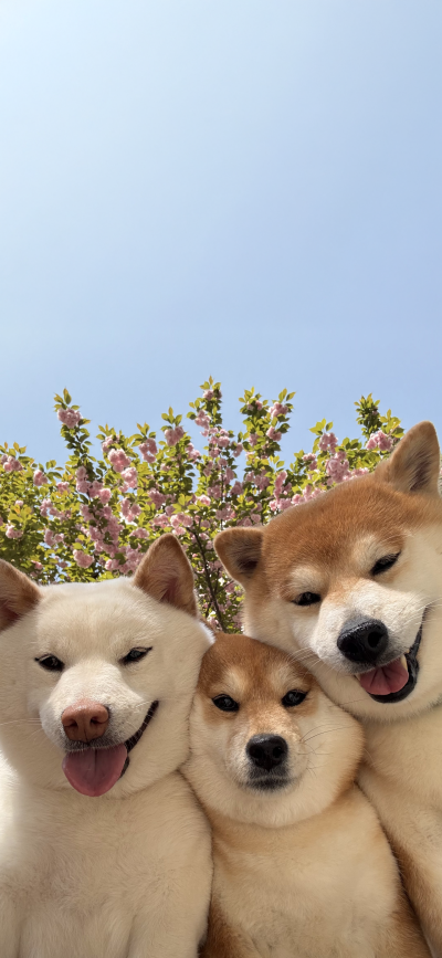 ‎#ليس قوة خارقة