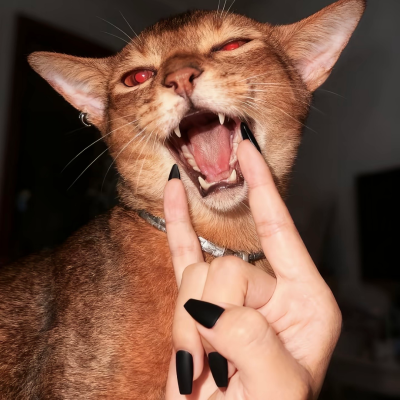 ‎#ليس قوة خارقة