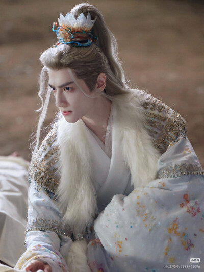 《水龙吟》罗云熙