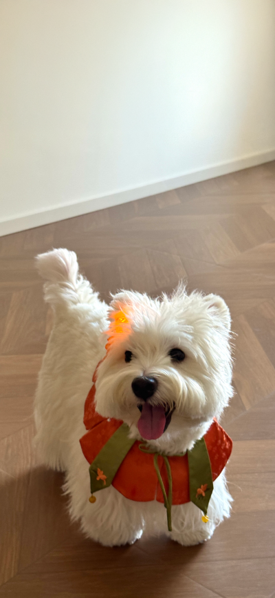 ‎#ليس قوة خارقة