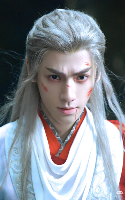 《水龙吟》罗云熙