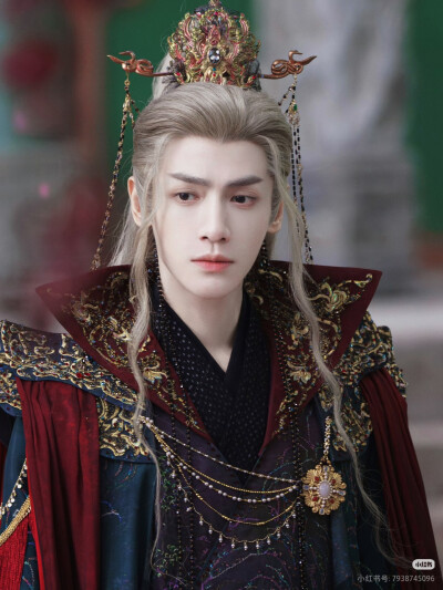 《水龙吟》罗云熙