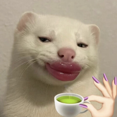 沙雕动物表情包