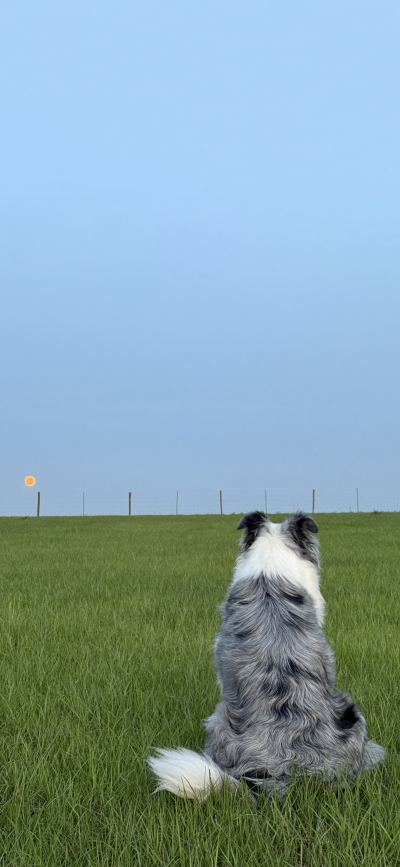 ‎#ليس قوة خارقة