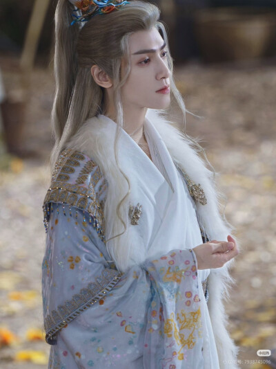 《水龙吟》罗云熙