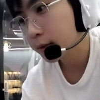 仓鼠禁止打职业