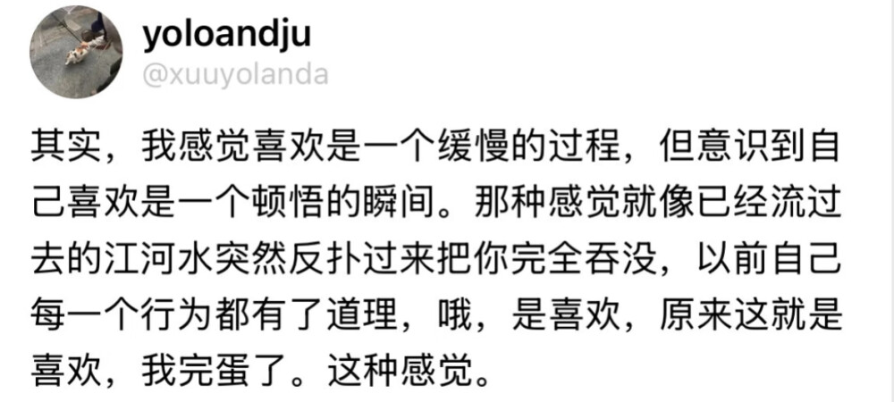 可惜这种顿悟是有时差的