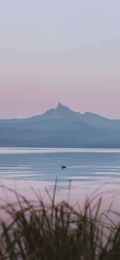 ‎#ليس قوة خارقة