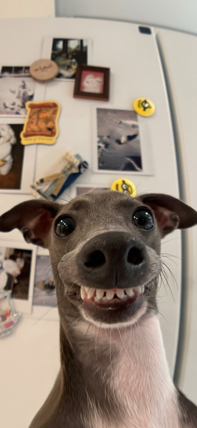 ‎#ليس قوة خارقة