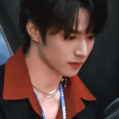 我的王朝由我来建立