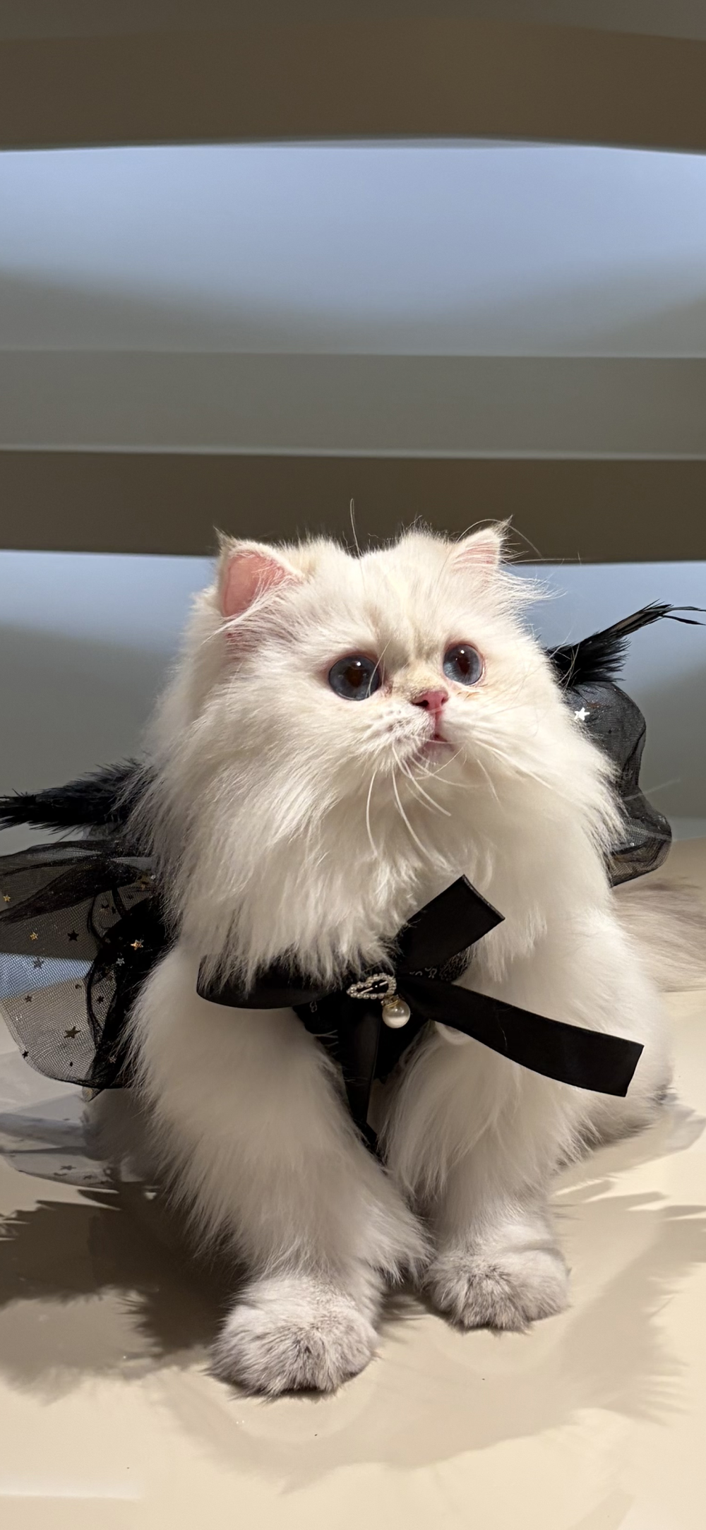 ‎#ليس قوة خارقة