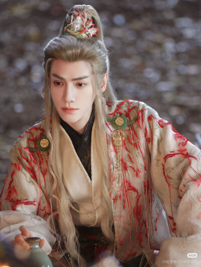 《水龙吟》罗云熙