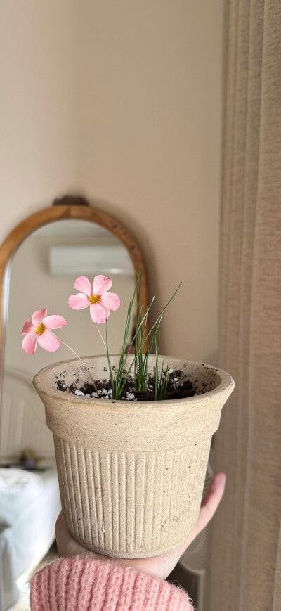 私藏ins氛围感壁纸