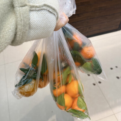 到了吃橘子的季节，蜜橘砂糖橘青橘太难选了，都来一遍（附近福建云吞店老板鼎力推荐的蜜橘，皮薄且甜）