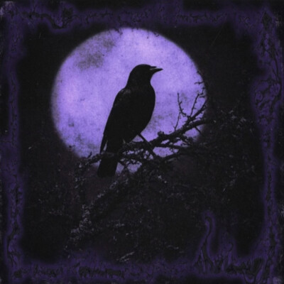 黑&紫 哥特风 朋友圈背景 封面