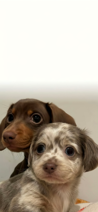 ‎#ليس قوة خارقة