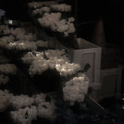 Vintage'加载19s的马耳吉他:beat