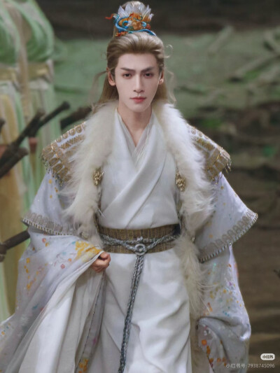 《水龙吟》罗云熙