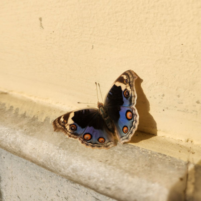 ‎#ليس قوة خارقة