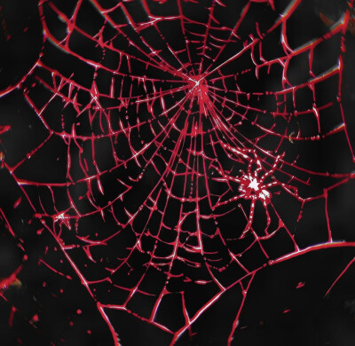 站子在原来的手机上 致歉TT有好心的妹宝知道告知一下小生嘛