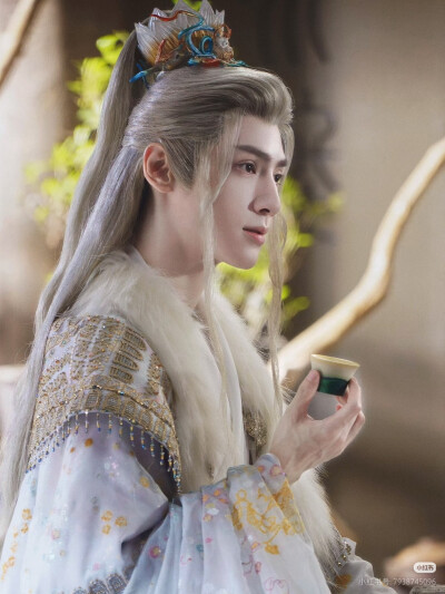 《水龙吟》罗云熙