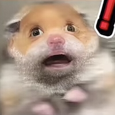 沙雕动物表情包