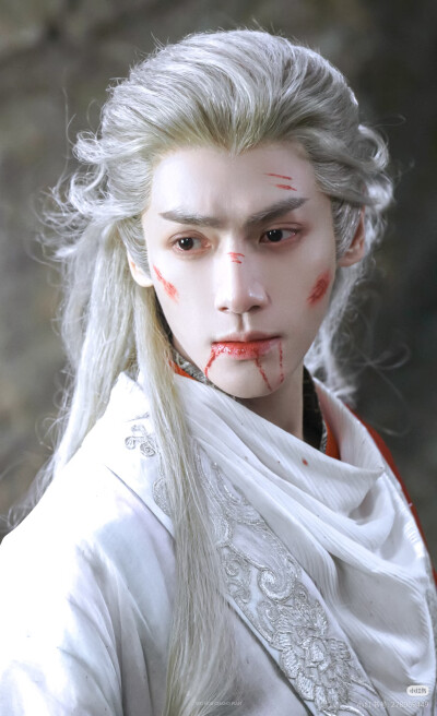 《水龙吟》罗云熙