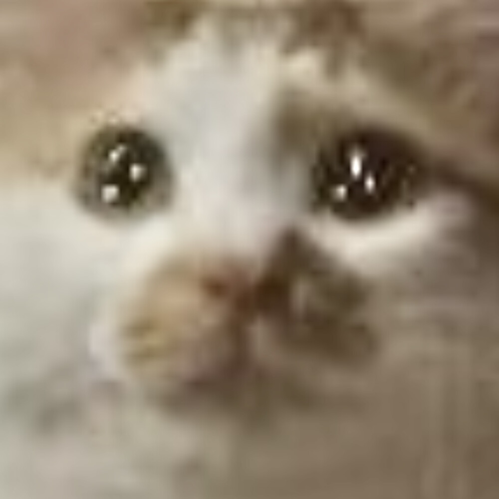 沙雕动物表情包