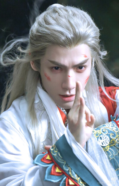 《水龙吟》罗云熙