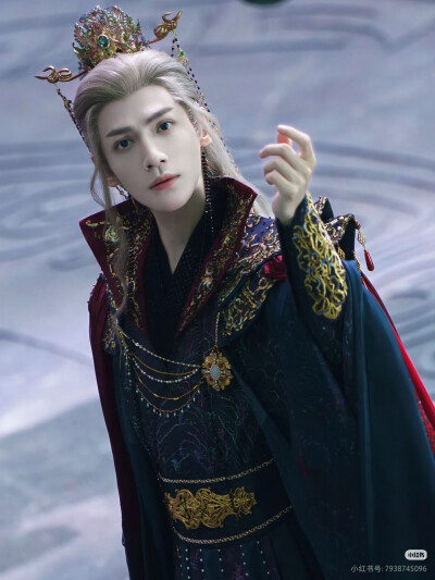 《水龙吟》罗云熙