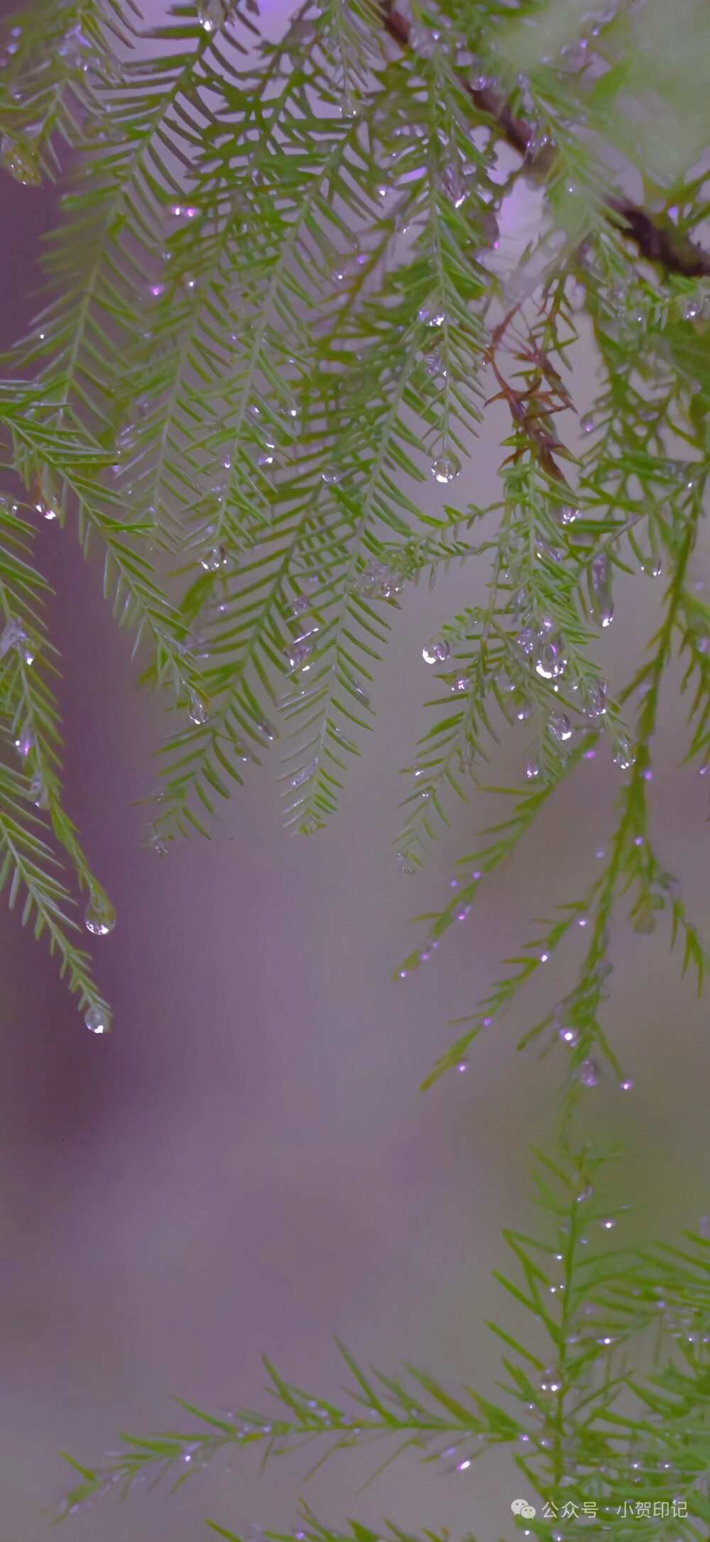 壁纸 背景图 锁屏