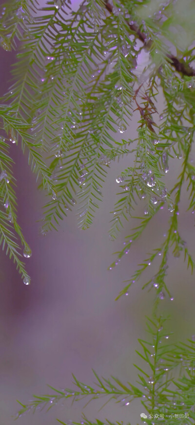 壁纸 背景图 锁屏