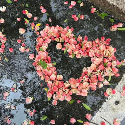 壁纸 背景图 锁屏