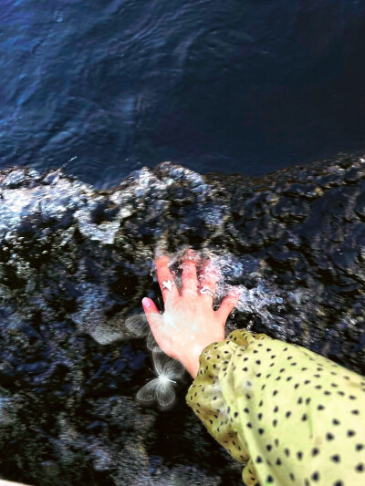 日常
我的精神滋养剂