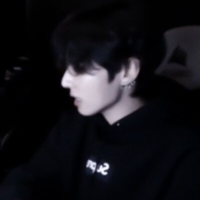 我像他养的第二只猫