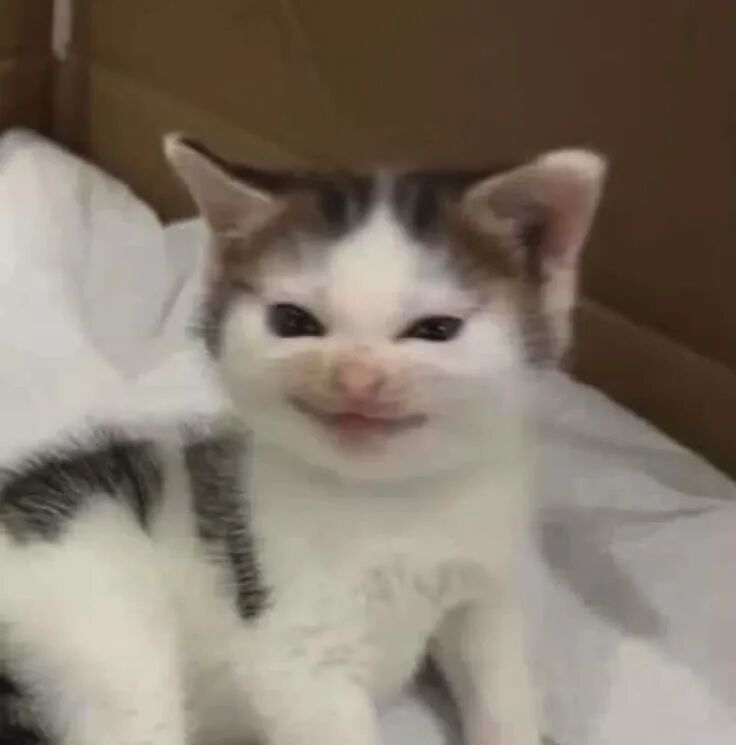 我是不会放弃收集这种图片的