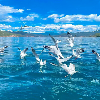 背景·图源微博