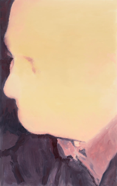 当今比利时最有影响力的画家之一，现在安特卫普工作及生活。他始终致力于使用抽离、非叙事的方式来创作绘画，为我们如何理解过去和现在提供了一个标本。他的创作题材涉猎到历史痕迹、社会学图像及当下生活，具体素材…