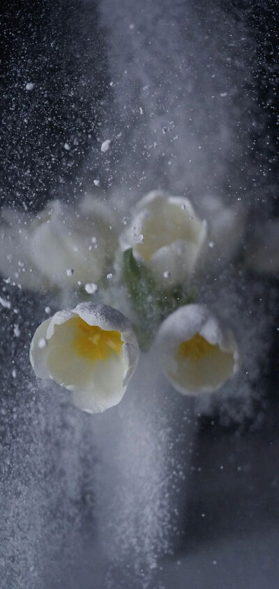 壁纸 背景图 锁屏