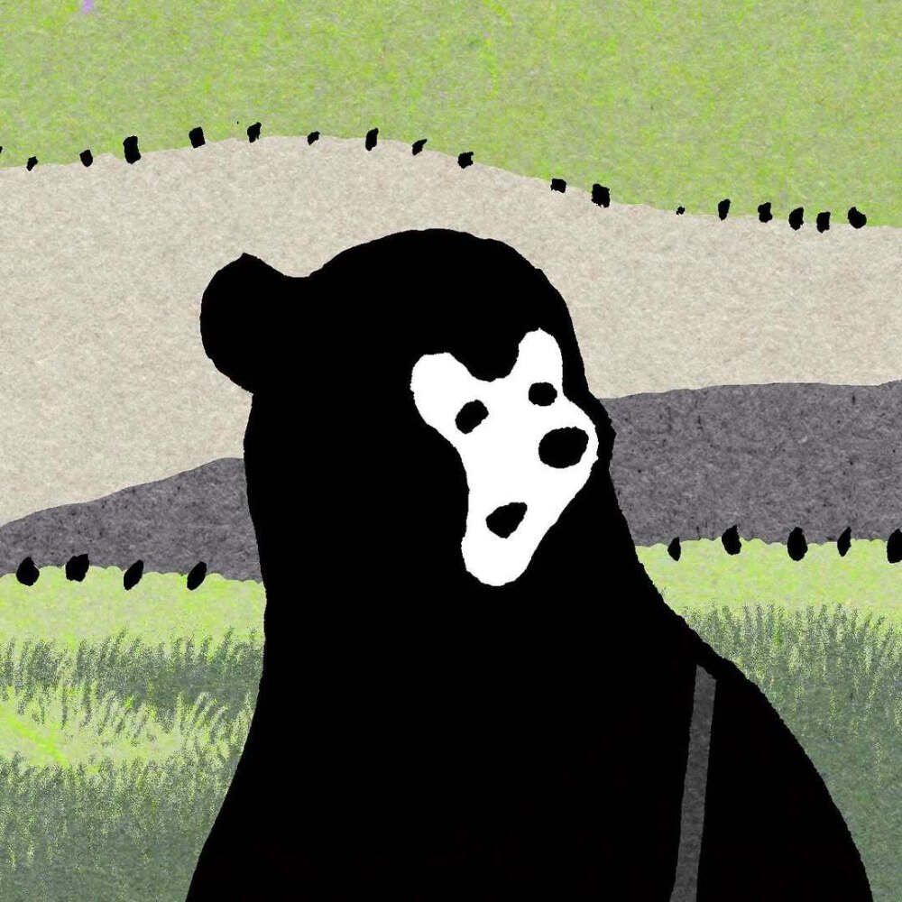 快看，小熊在草地上喷出了一道彩虹
插画师：西村ツチカ