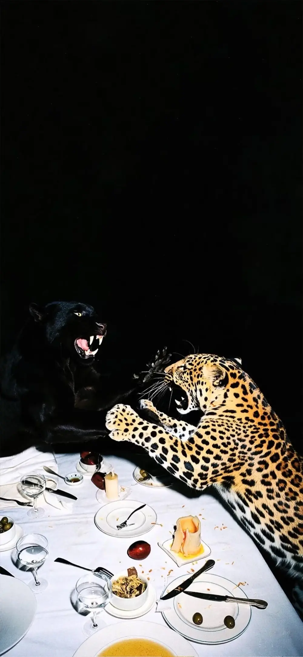 漂亮动物。老虎。豹子。