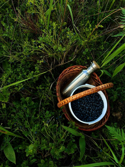 日常
我的精神滋养剂