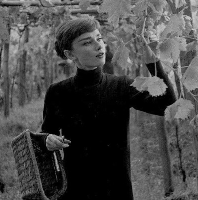 Audrey Hepburn