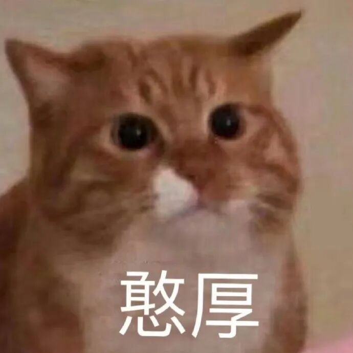 猫猫表情包