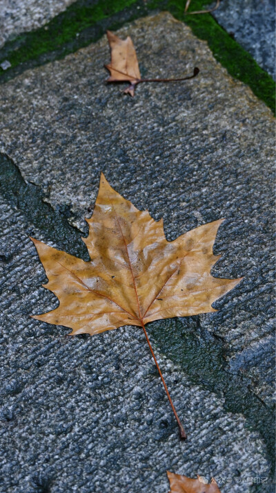 壁纸 背景图 锁屏