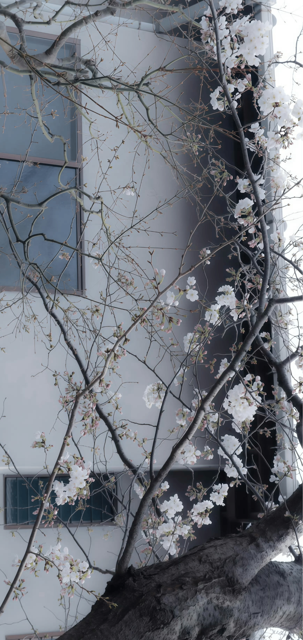 壁纸 背景图 锁屏