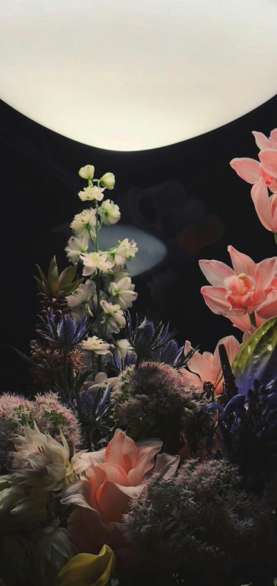 壁纸 背景图 锁屏