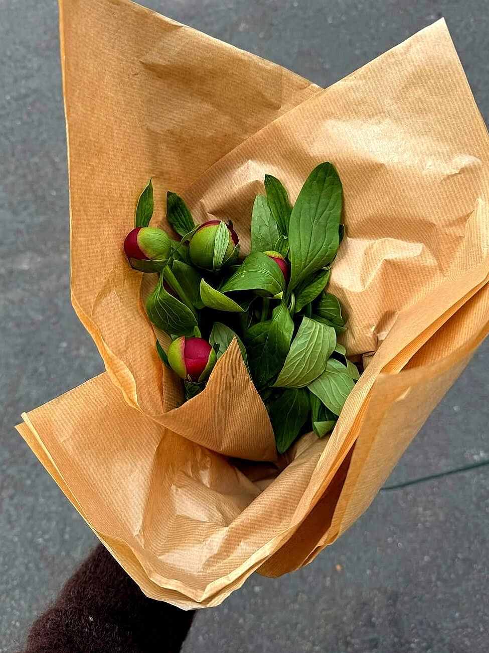 日常
But we're not 19 in Mexico.