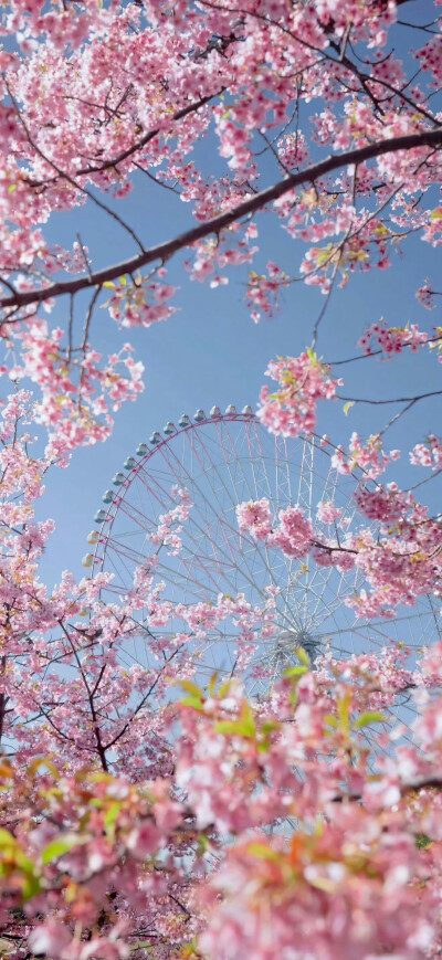 绿色清新质感壁纸，简约清新锁屏聊天背景，来自网络侵删（个人最喜欢图5）